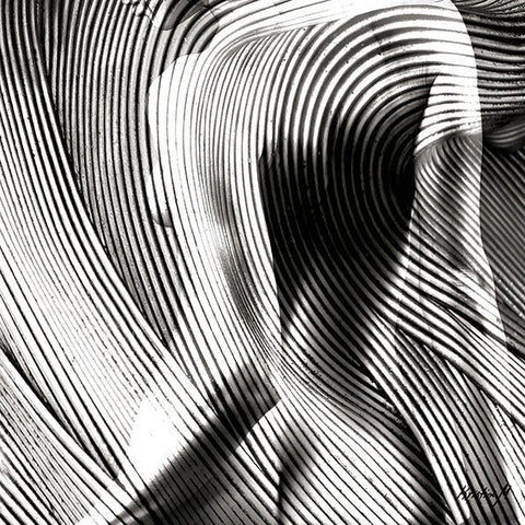 Série noir et blanc " L'équilibre fragile " - Kristine M